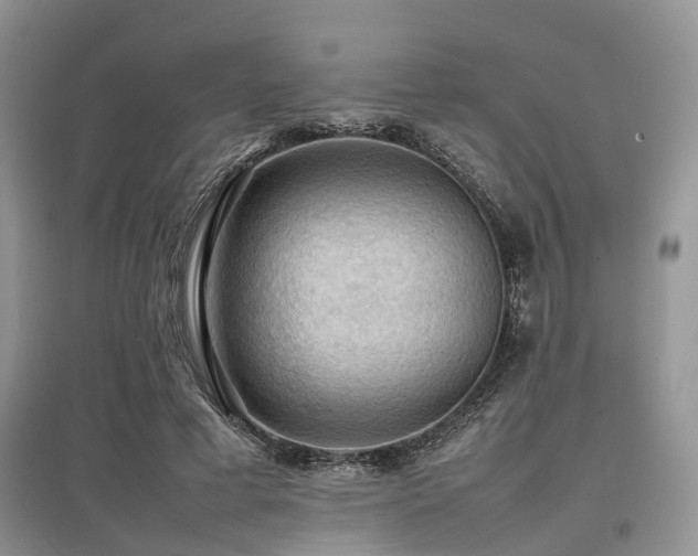 X0000097880593200803141321