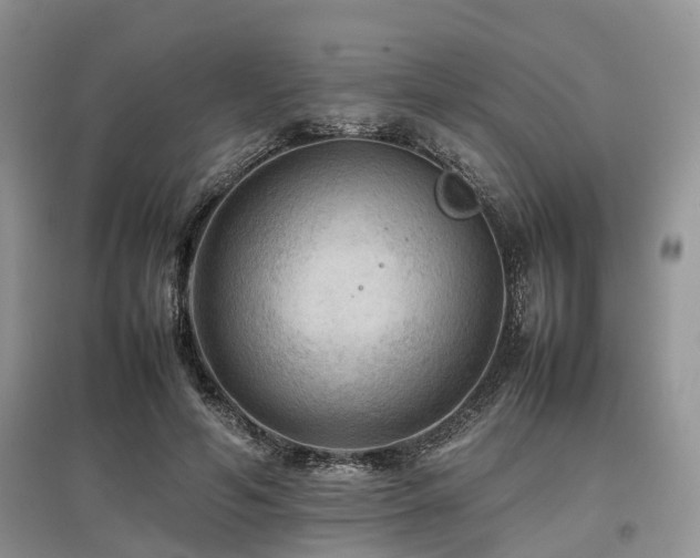 X0000097880594200803141321