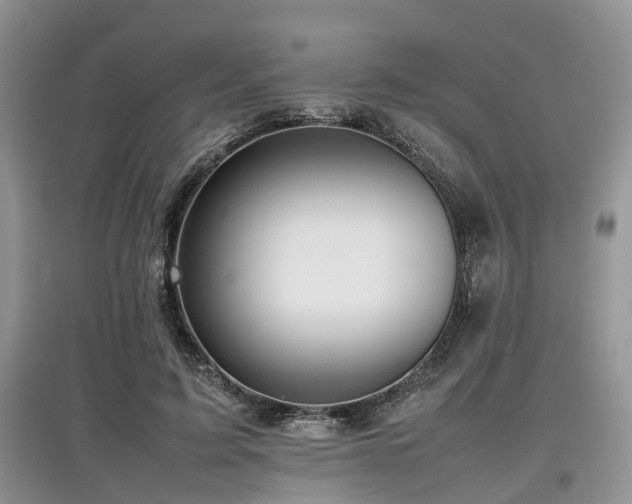 X0000097880595200803141321