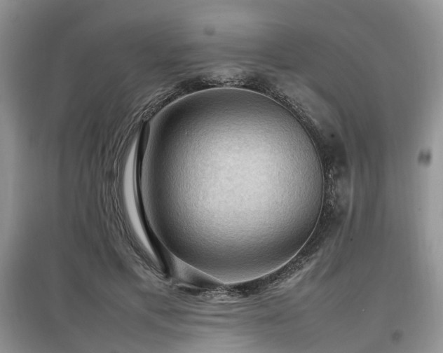 X0000097880597200803141321
