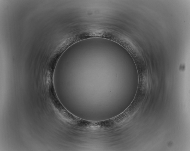 X0000097880598200803141321