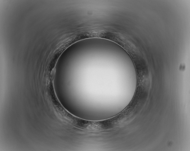 X0000097880599200803141321