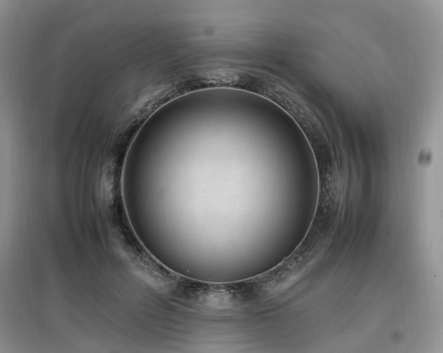 X0000097880600200803141321