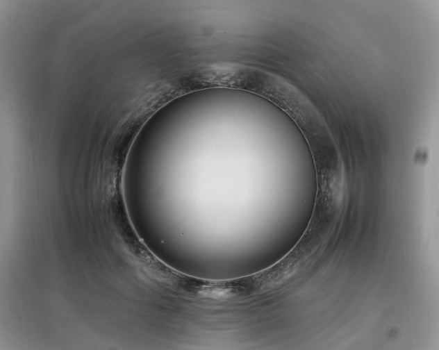 X0000097880602200803141321