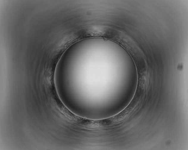 X0000097880604200803141321