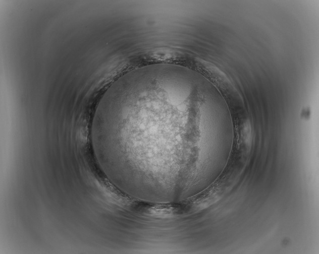 X0000097880606200803141321