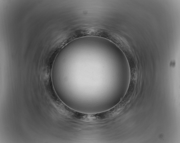 X0000097880607200803141321