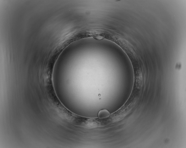 X0000097880608200803141321