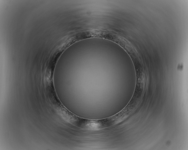 X0000097880610200803141321