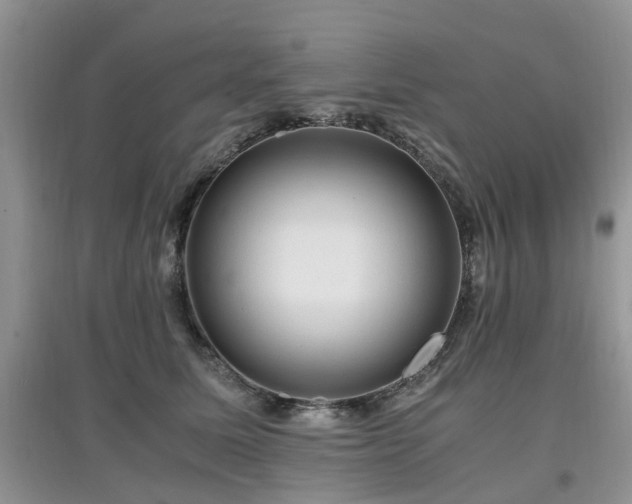 X0000097880611200803141321