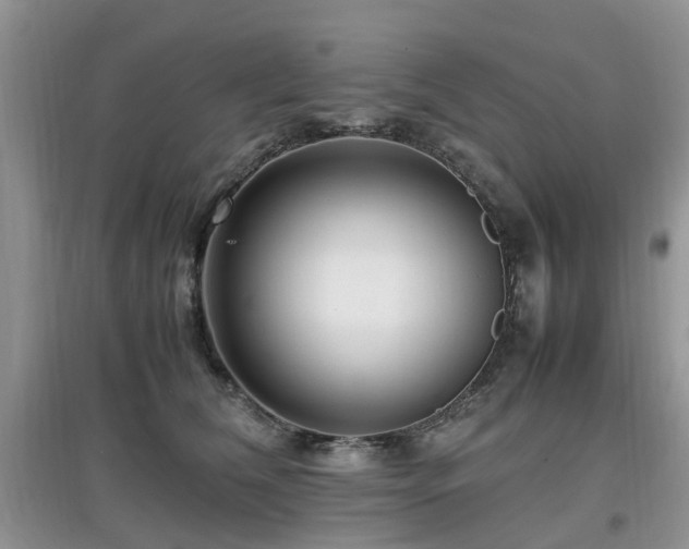 X0000097880612200803141321