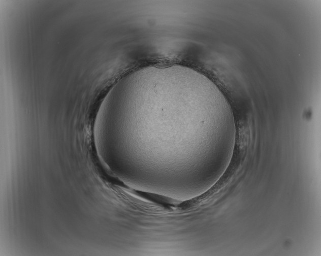 X0000097880613200803141321