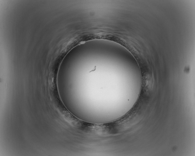 X0000097880615200803141321