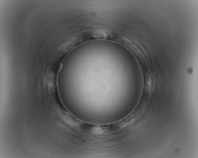 X0000097880616200803141321