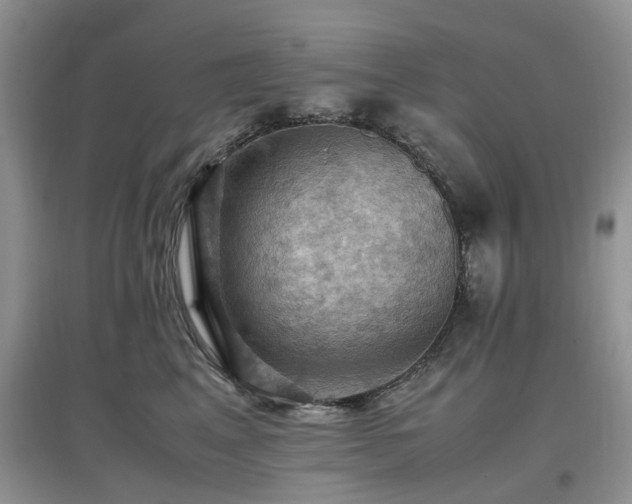 X0000097880617200803141321