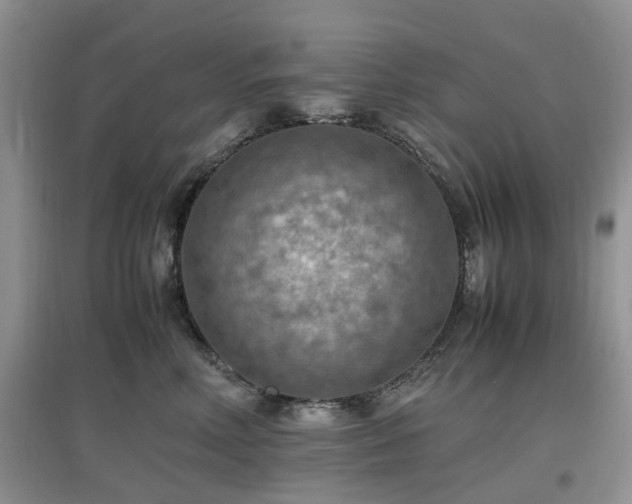X0000097880618200803141321