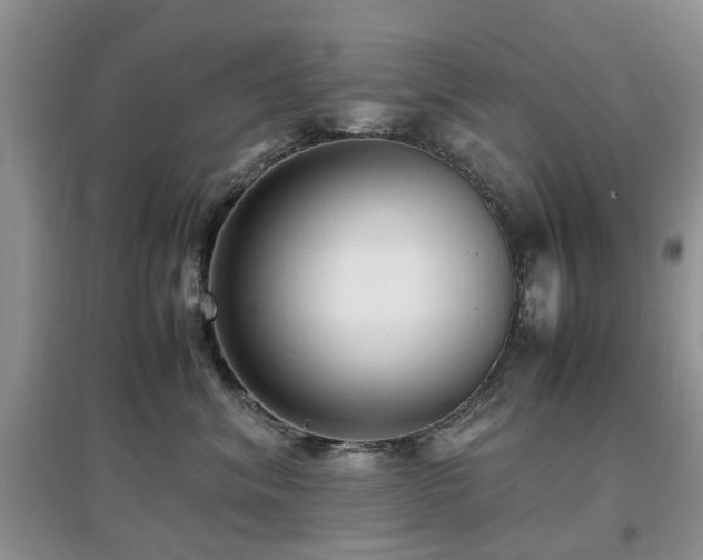 X0000097880620200803141321