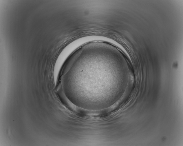 X0000097880621200803141321