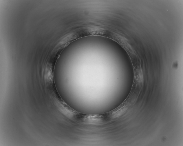 X0000097880622200803141321