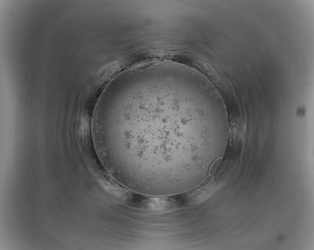 X0000097880623200803141321