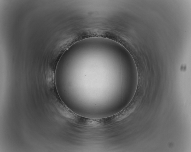 X0000097880624200803141321