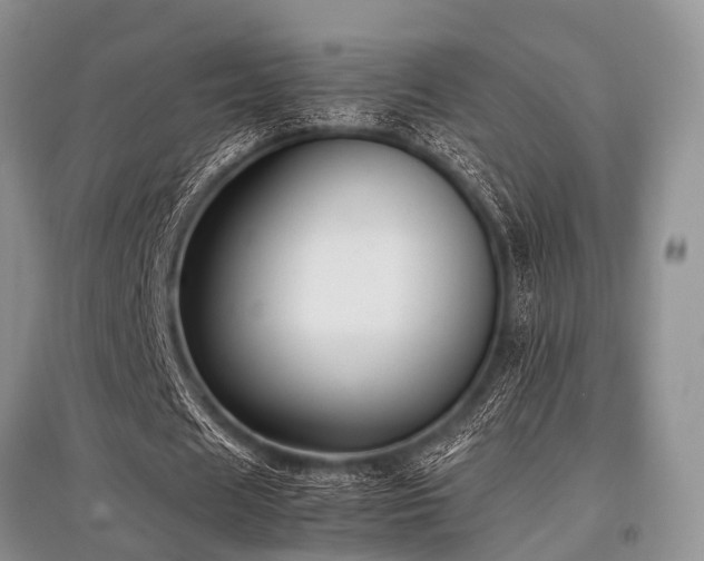 X0000097880625200803141320