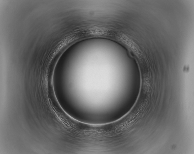 X0000097880626200803141320