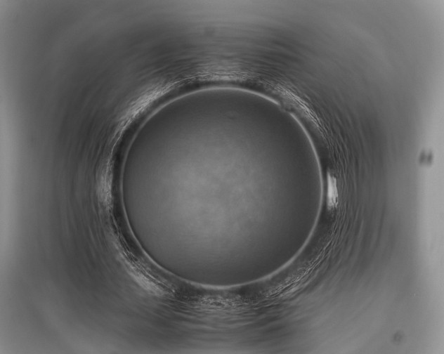 X0000097880627200803141320