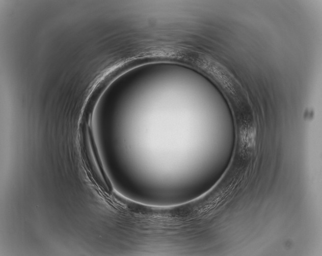 X0000097880628200803141320