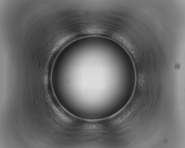 X0000097880629200803141320