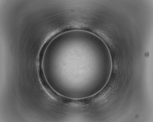 X0000097880630200803141320