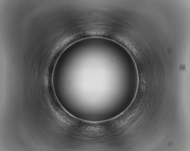 X0000097880631200803141320