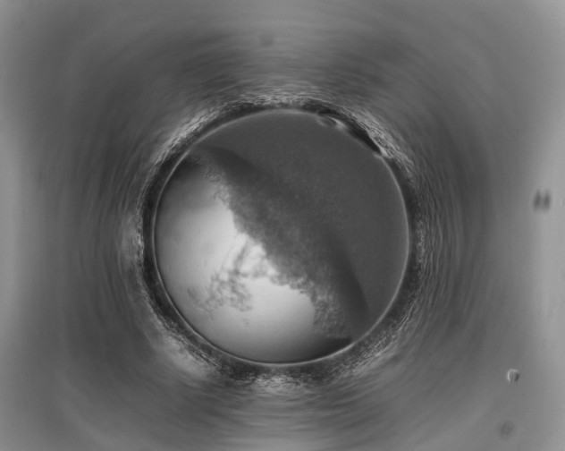 X0000097880634200803141320