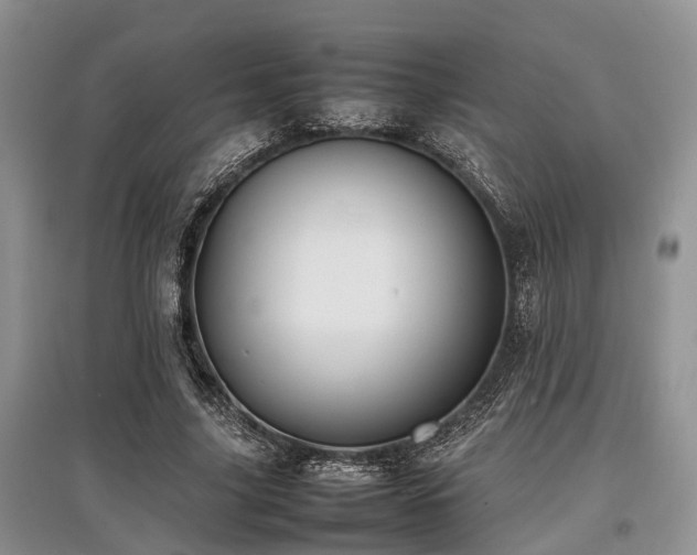 X0000097880635200803141320