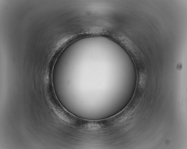 X0000097880636200803141320
