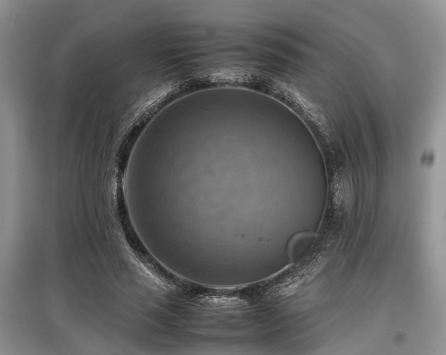 X0000097880637200803141320