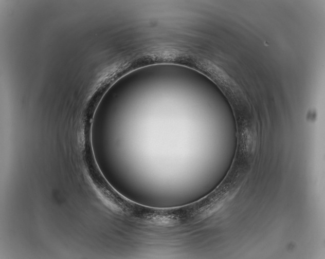 X0000097880638200803141320