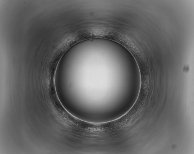 X0000097880639200803141320