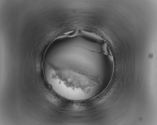 X0000097880641200803141321