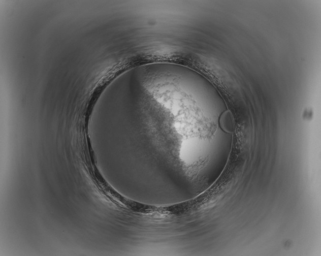 X0000097880642200803141321