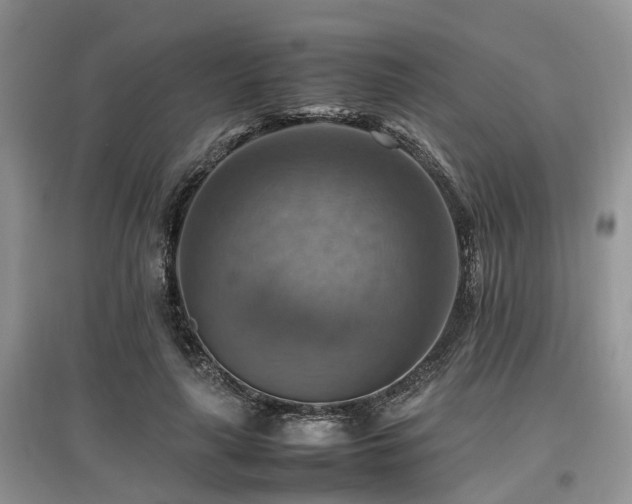 X0000097880643200803141321