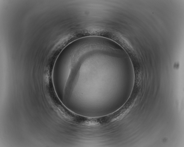 X0000097880644200803141321