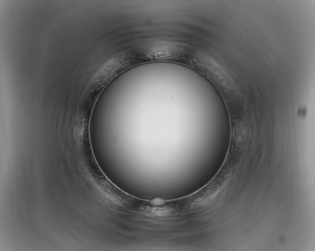 X0000097880645200803141321