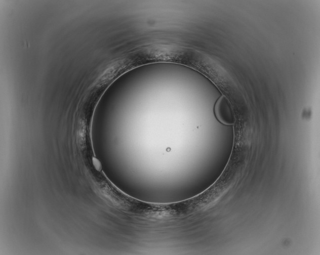 X0000097880646200803141321