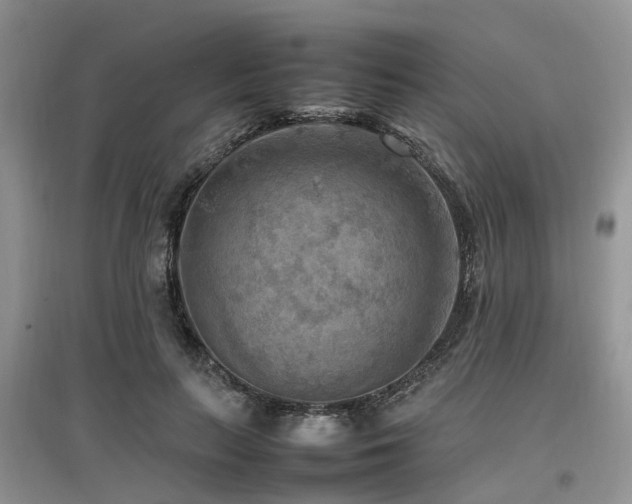 X0000097880647200803141321