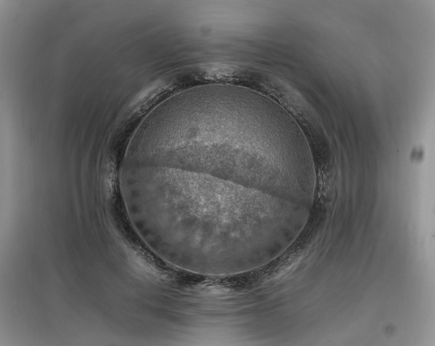 X0000097880648200803141321