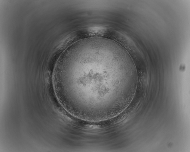 X0000097880649200803141321