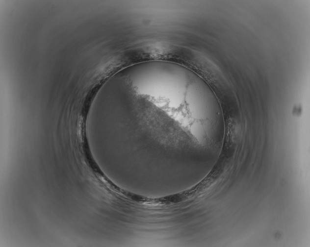 X0000097880650200803141321