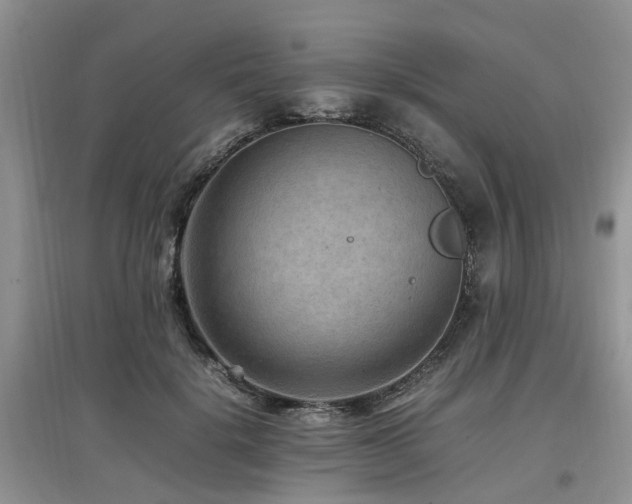 X0000097880652200803141321