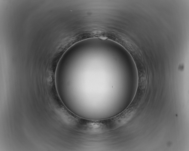 X0000097880654200803141321